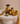 Ochre Silk Ribbon