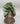 Olive Green Mulberry Silk Hair Wrap